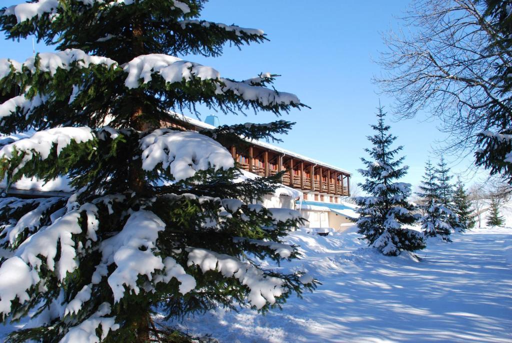 Hotel Le Grand Chalet Foncine-le-Haut Exteriér fotografie